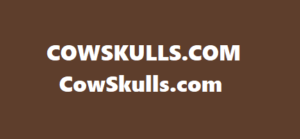 Cow Skulls