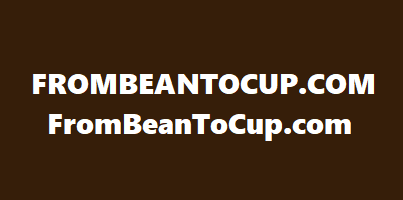 From Bean to Cup