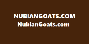 Nubian Goats